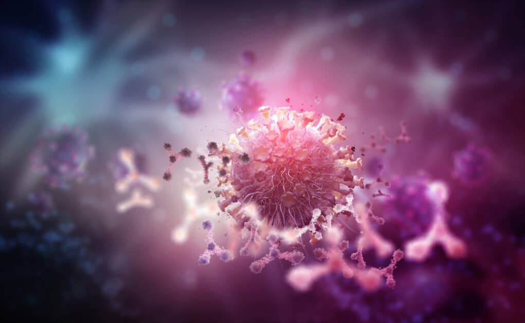 Viren sind nicht unsere Feinde