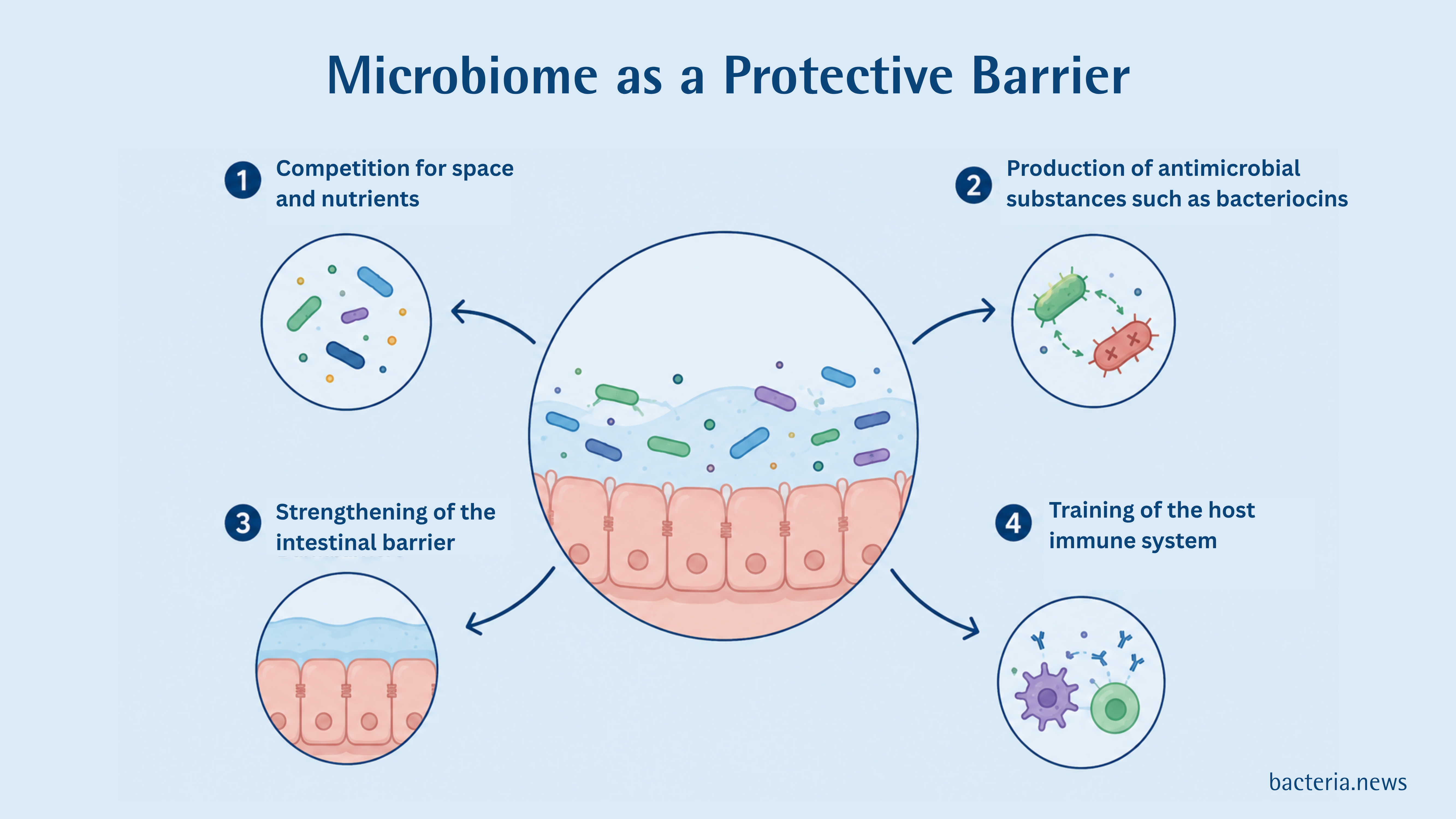 Antibiotics and Microbiome