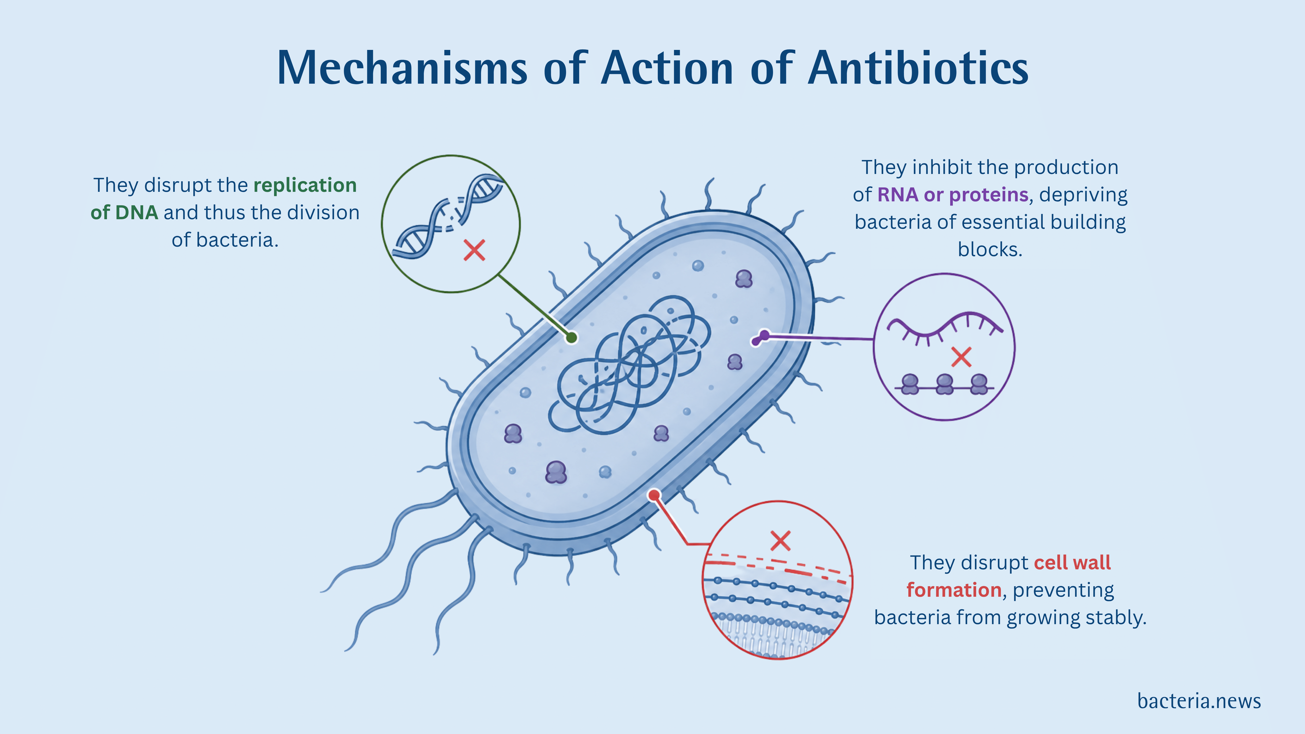 Antibiotics and Microbiome